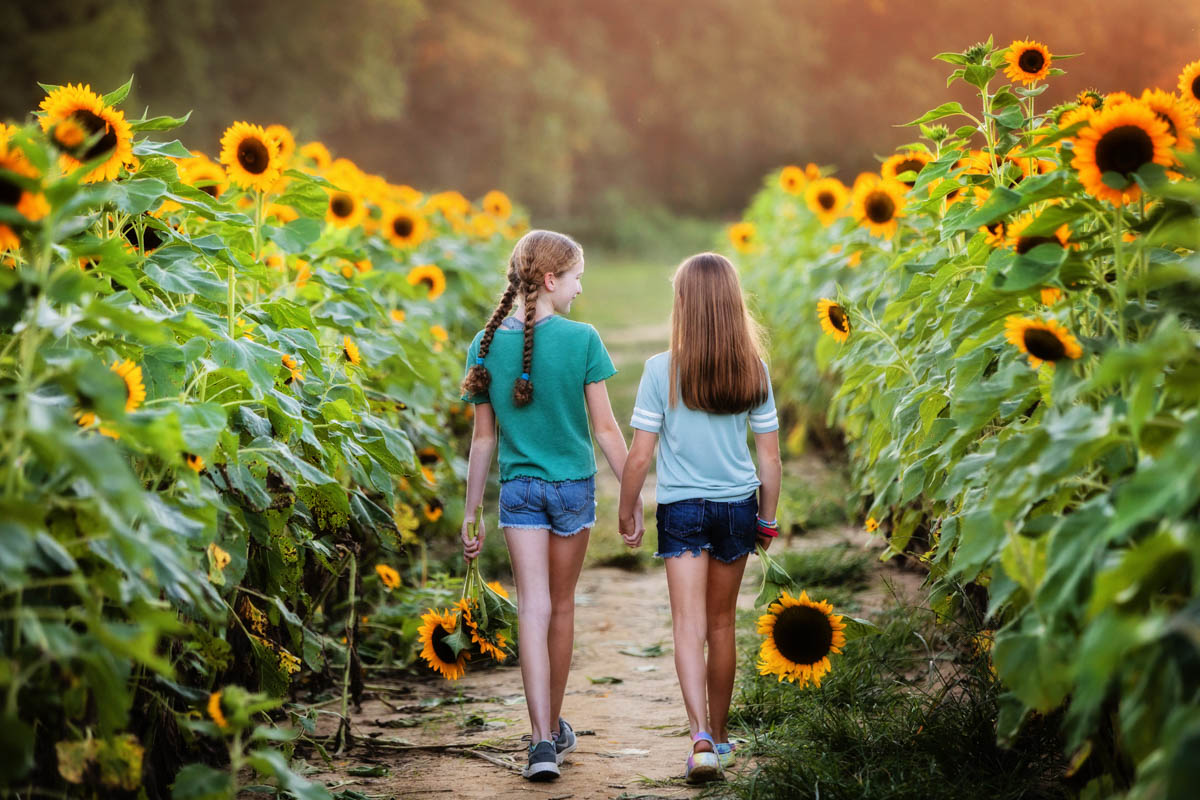 Two girls walk hand in hand through a sunflower field during sunset, surrounded by tall sunflowers and green foliage.