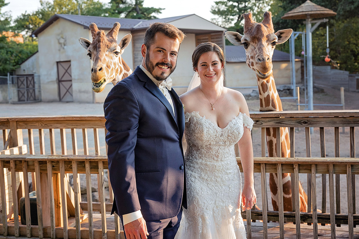 A couple in wedding attire standing on a wooden platform with two giraffes in the background, outdoors during daytime.