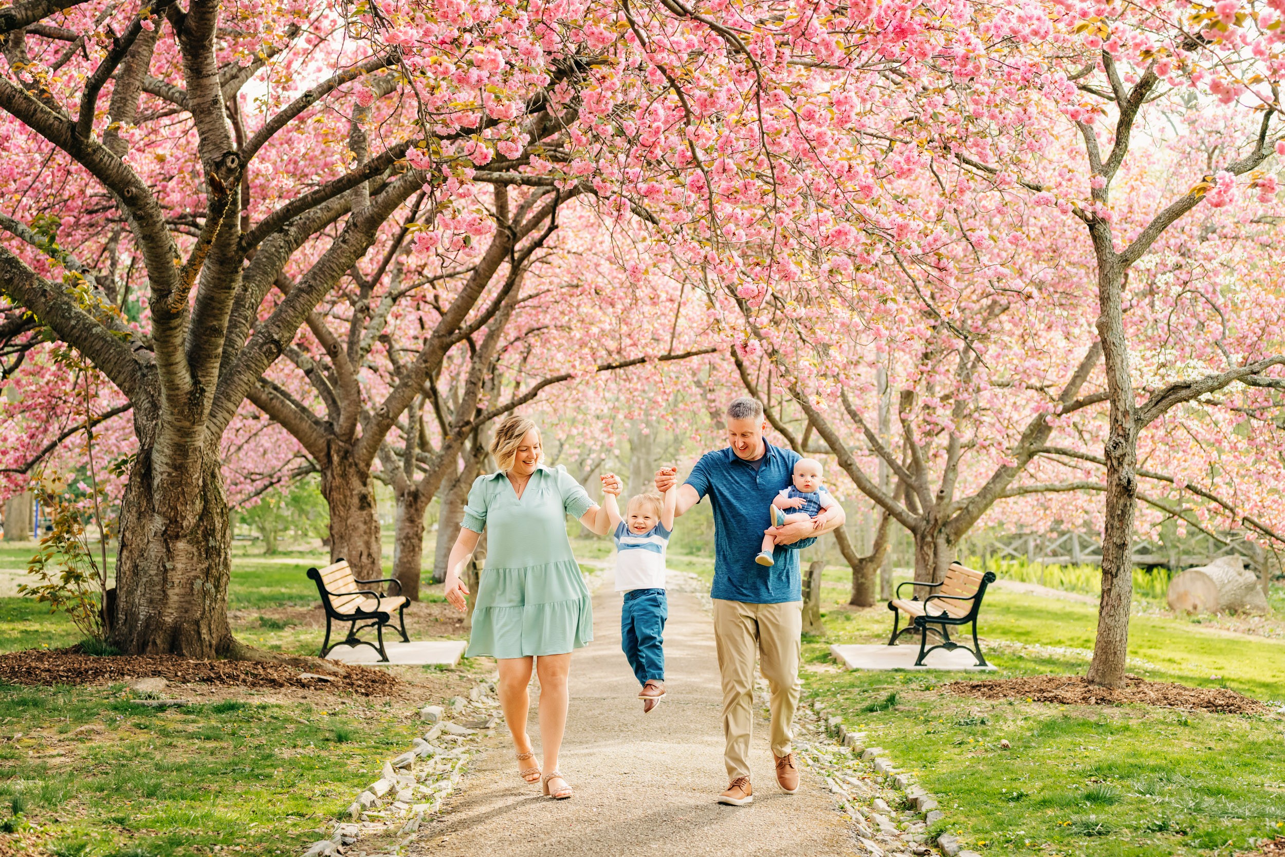 Family walking on a path under pink blossoming trees in a park, with benches and grass visible.