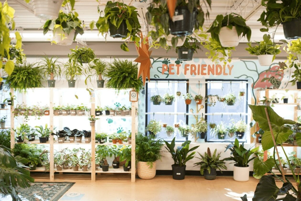 Indoor plant display with shelves and potted plants, sign reading 'GET FRIENDLY', surrounded by hanging and potted greenery.