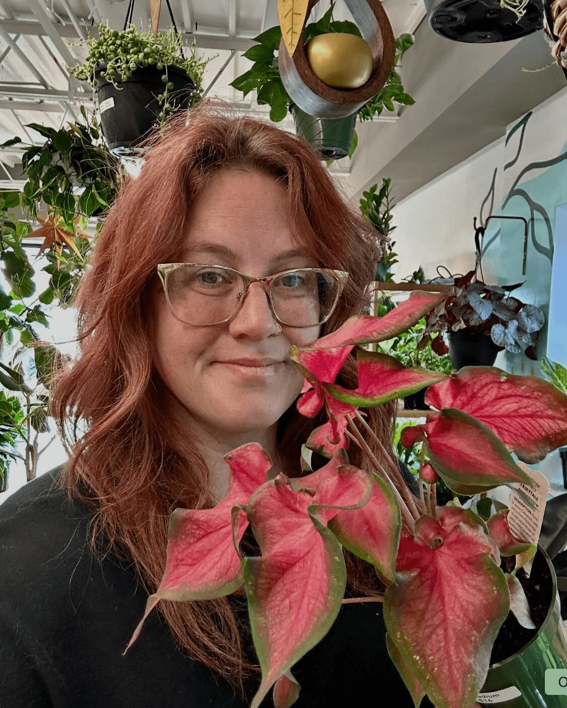 Woman with glasses and wavy hair smiling behind pink and green plants, indoor setting with hanging plants and artwork.