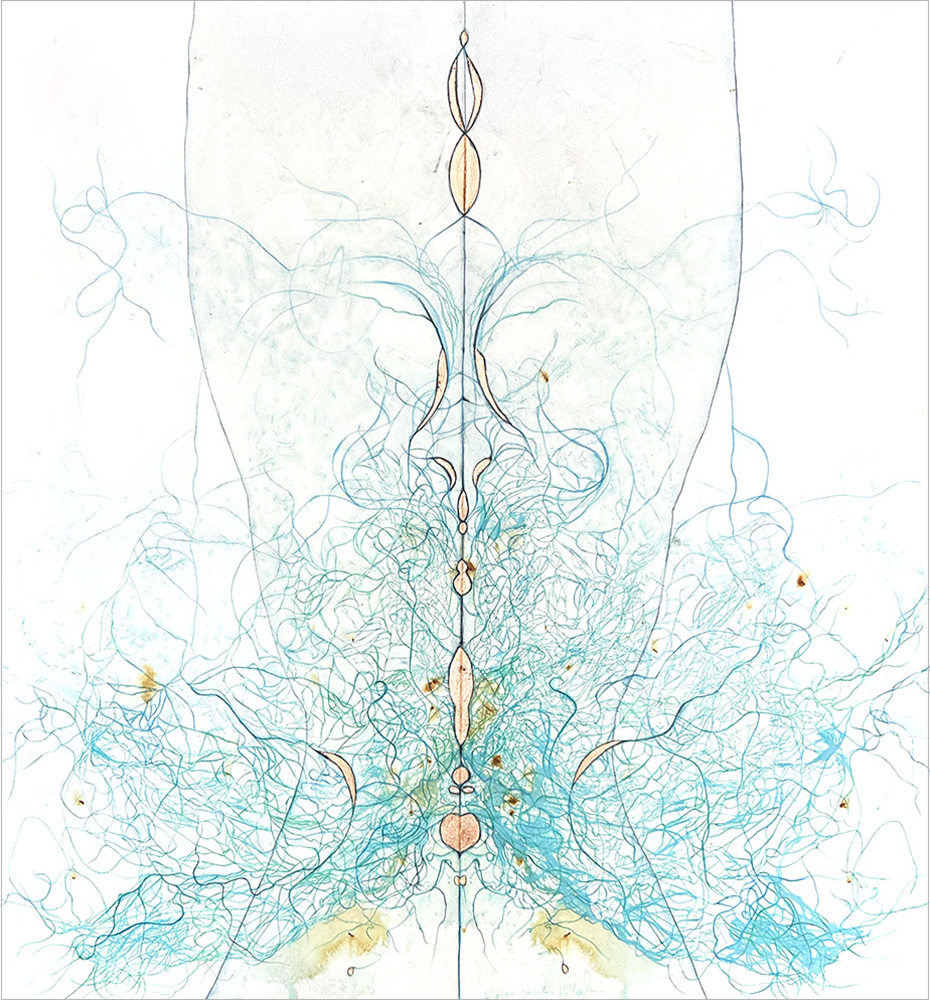 Abstract symmetrical line drawing with blue, orange, and yellow lines, resembling a butterfly or insect, on a white background.