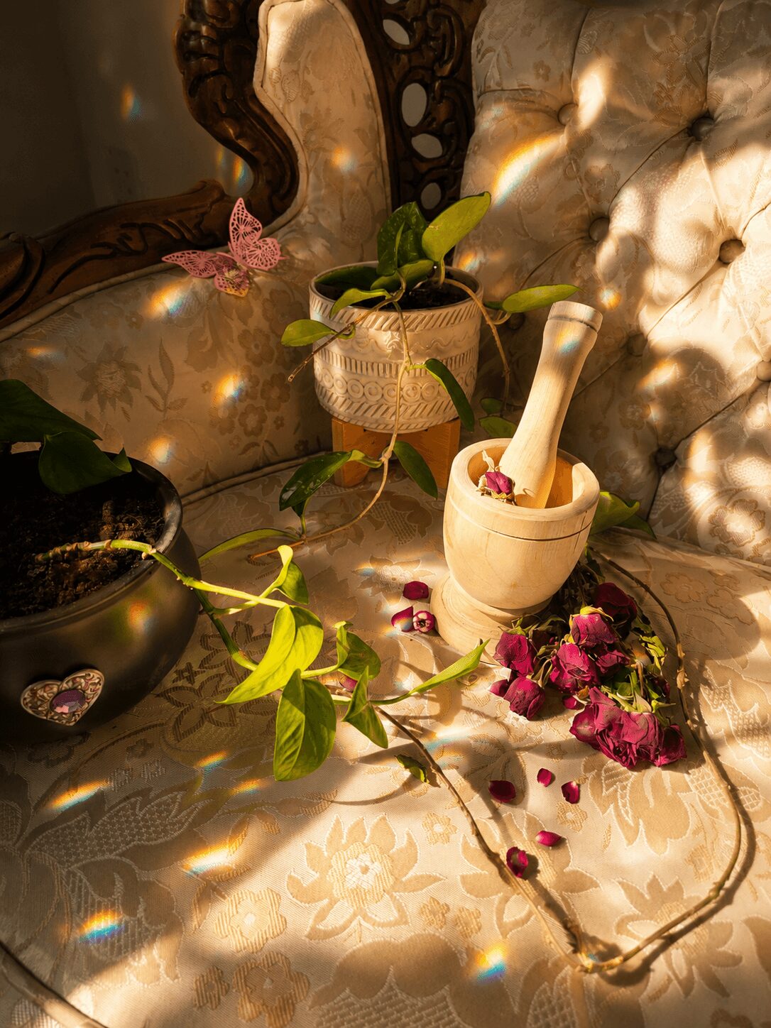 A still life with a mortar and pestle, a potted plant, and scattered flower petals on a patterned fabric surface.