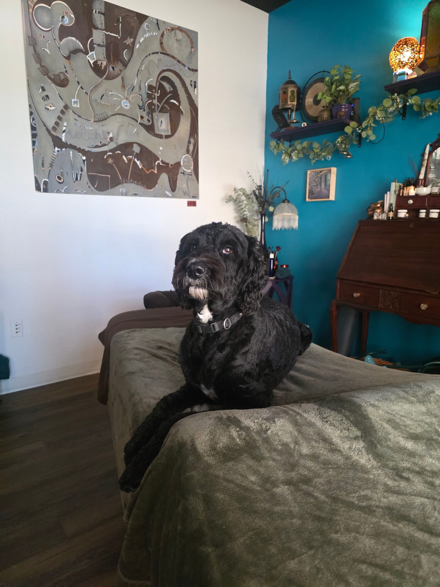 Black dog sitting on a green couch in a room with blue and white walls, artwork, and decorative items.