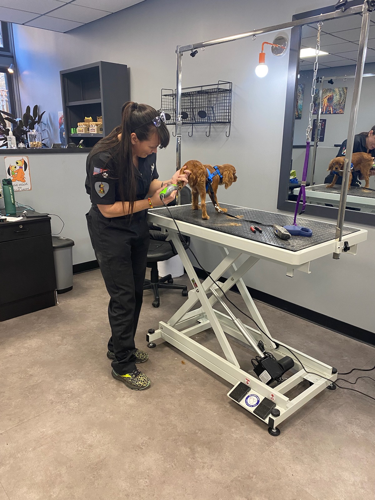 Person grooming a dog on a grooming table in a pet salon, with grooming tools and equipment visible.