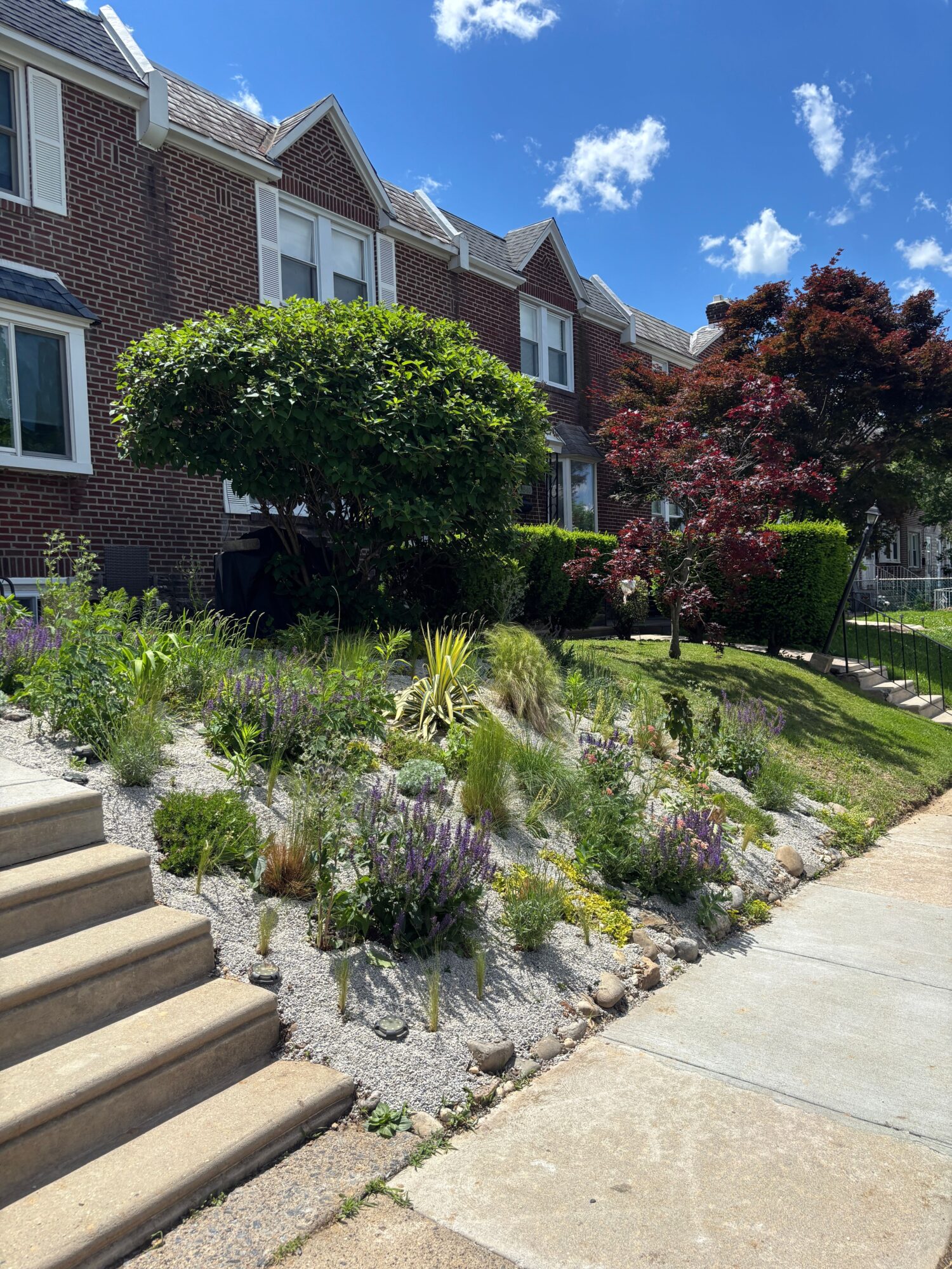 Residential house with garden, trees, and plants, under a blue sky with clouds.