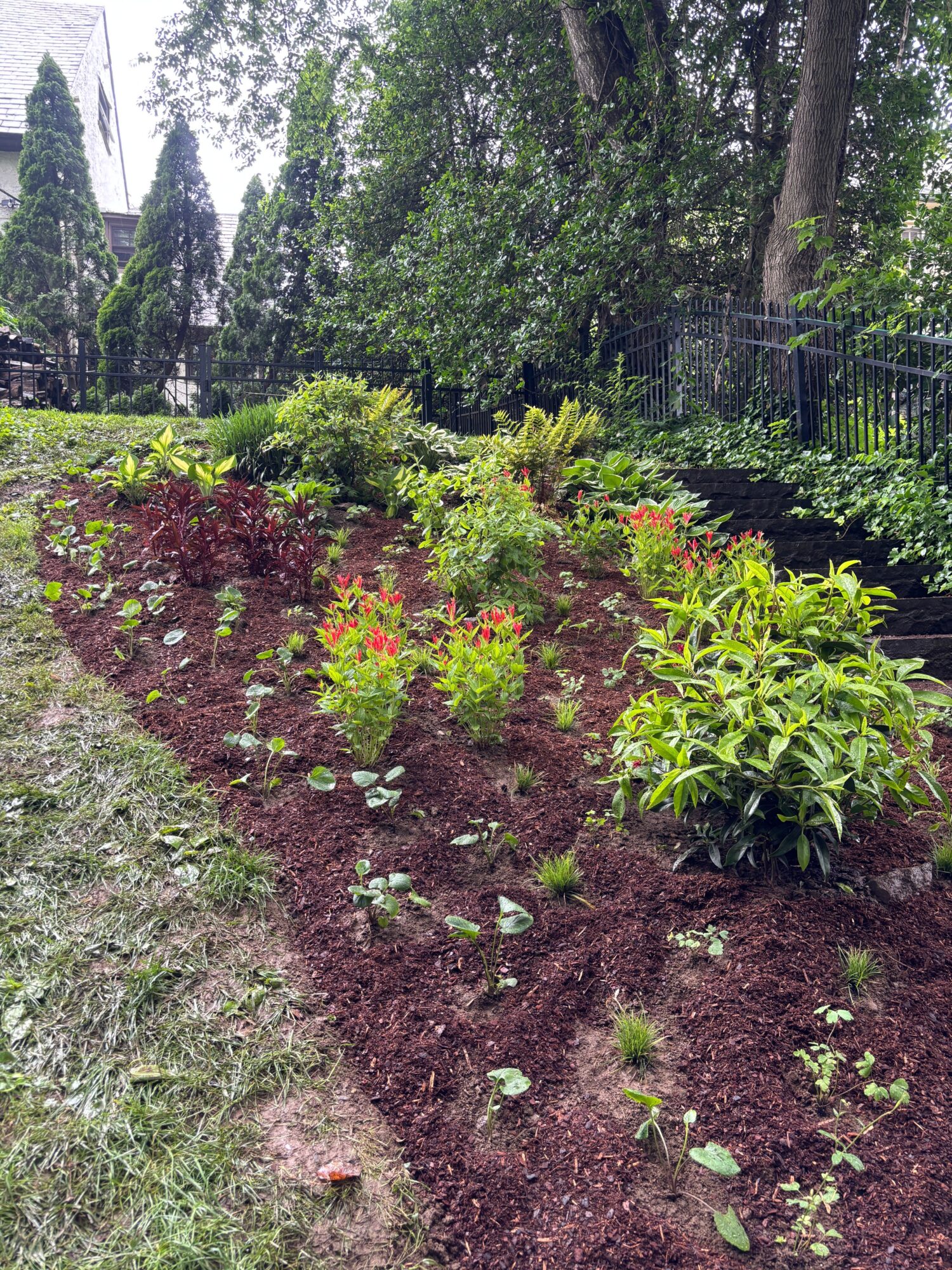 Garden with various plants and flowers, soil, and trees in the background.