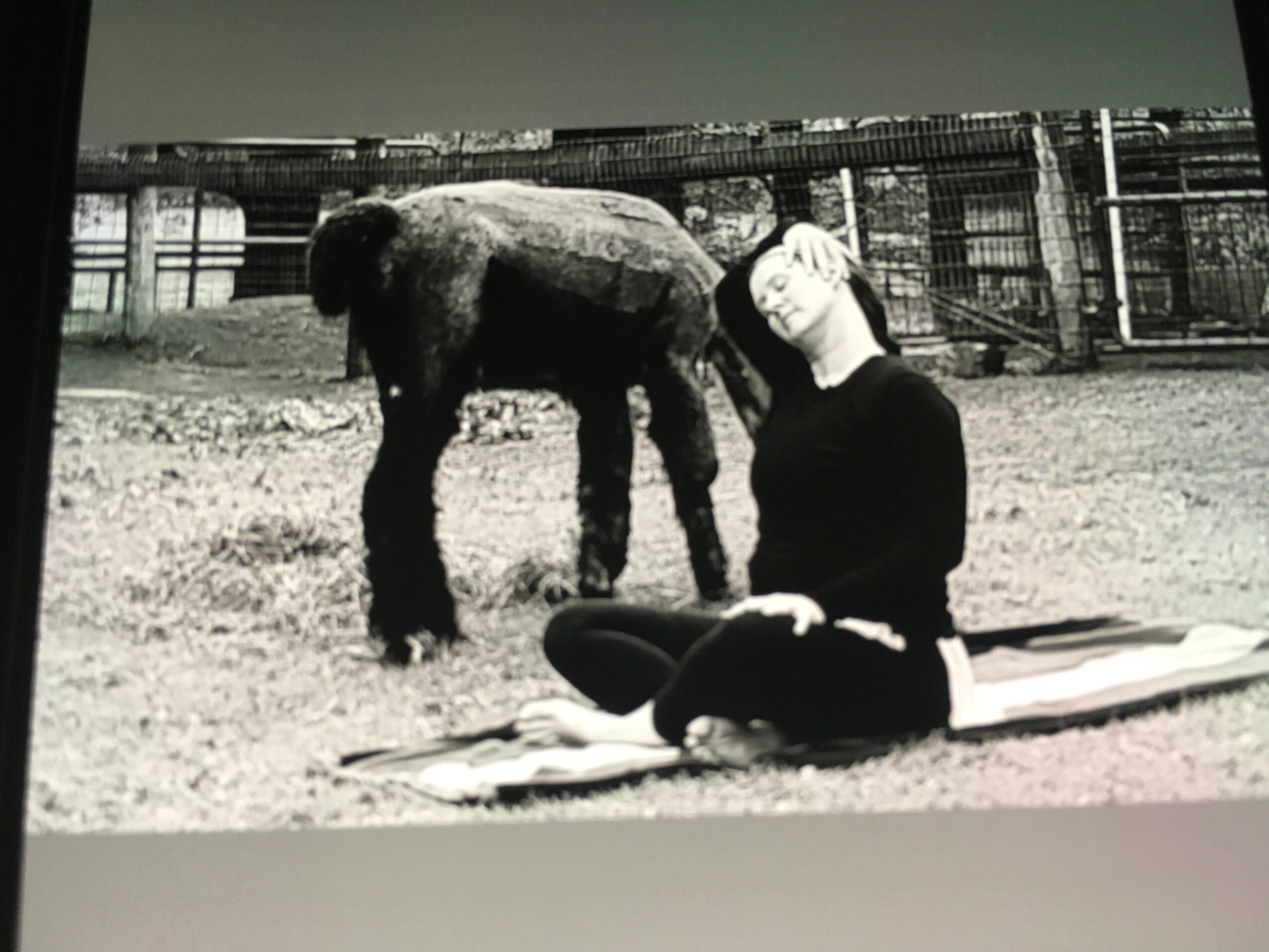 Person sitting on ground with legs crossed, smiling, near a small horse or pony in an outdoor enclosure.