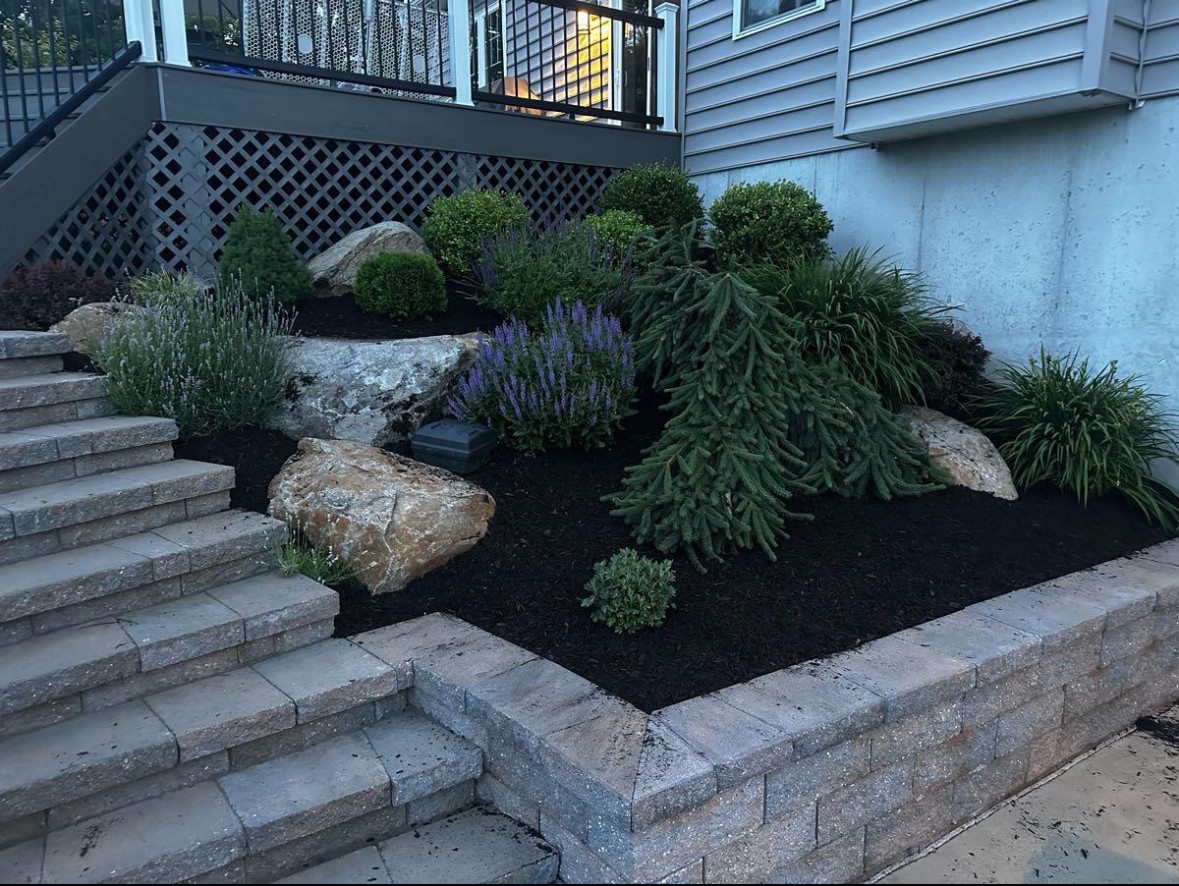 Landscaped garden bed with shrubs, rocks, and mulch next to stairs and house exterior.