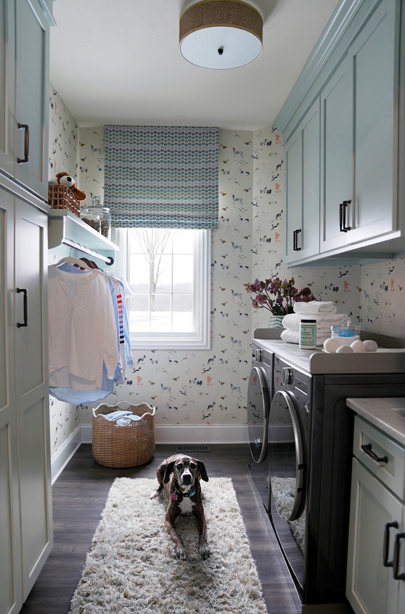 Laundry room with a dog sitting on a rug, cabinets, window with a Roman shade, and laundry items, bright and organized.