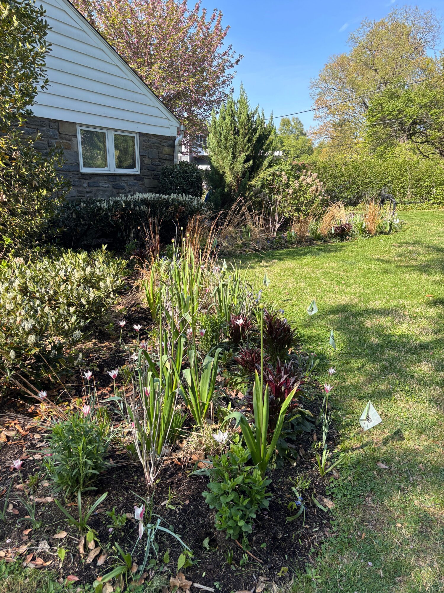 Garden with plants, grass, and a house with a window, under a blue sky.