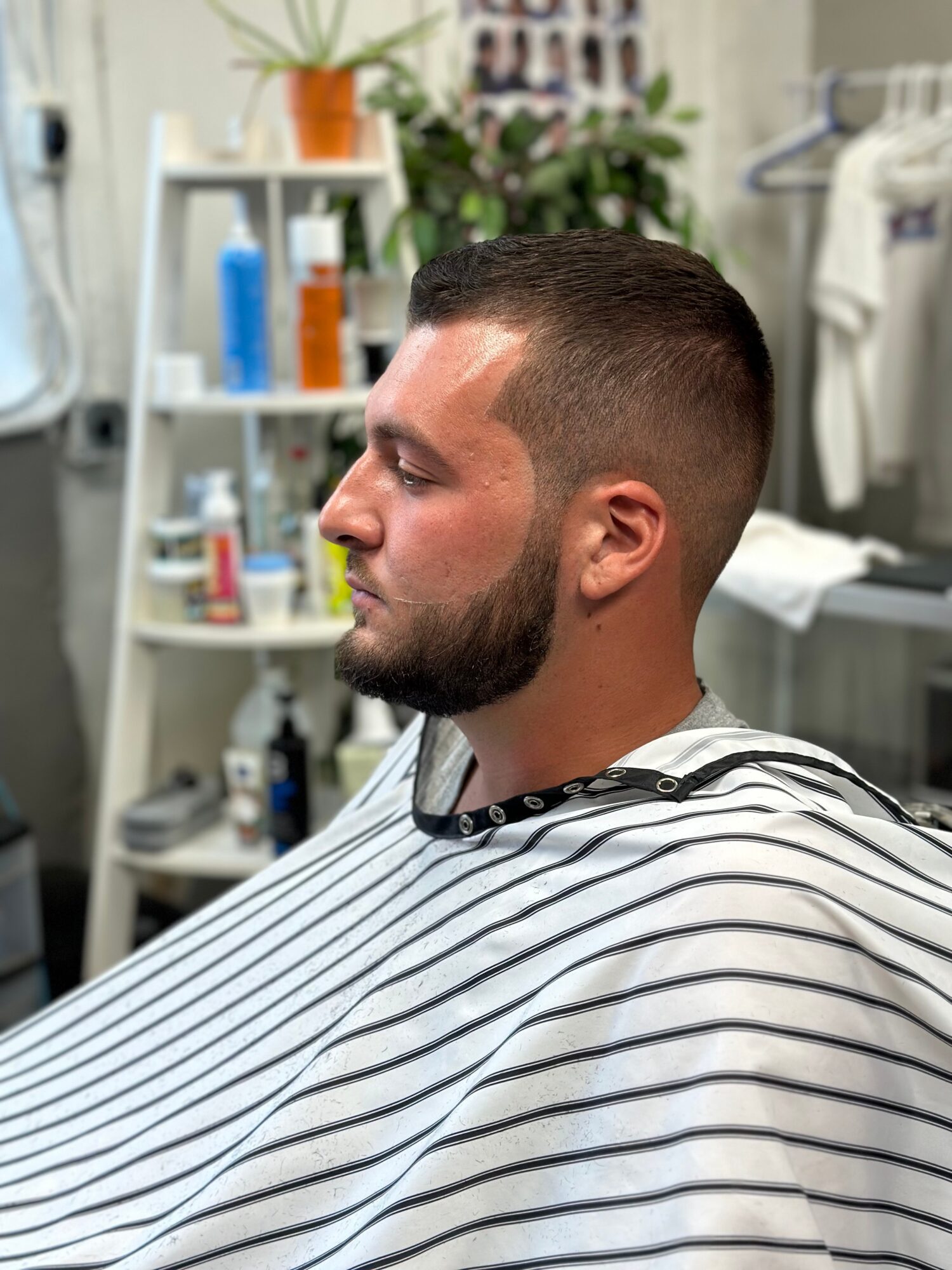 Man with short hair and beard sitting in barber shop, wearing a striped cape, with shelves and grooming products in background.