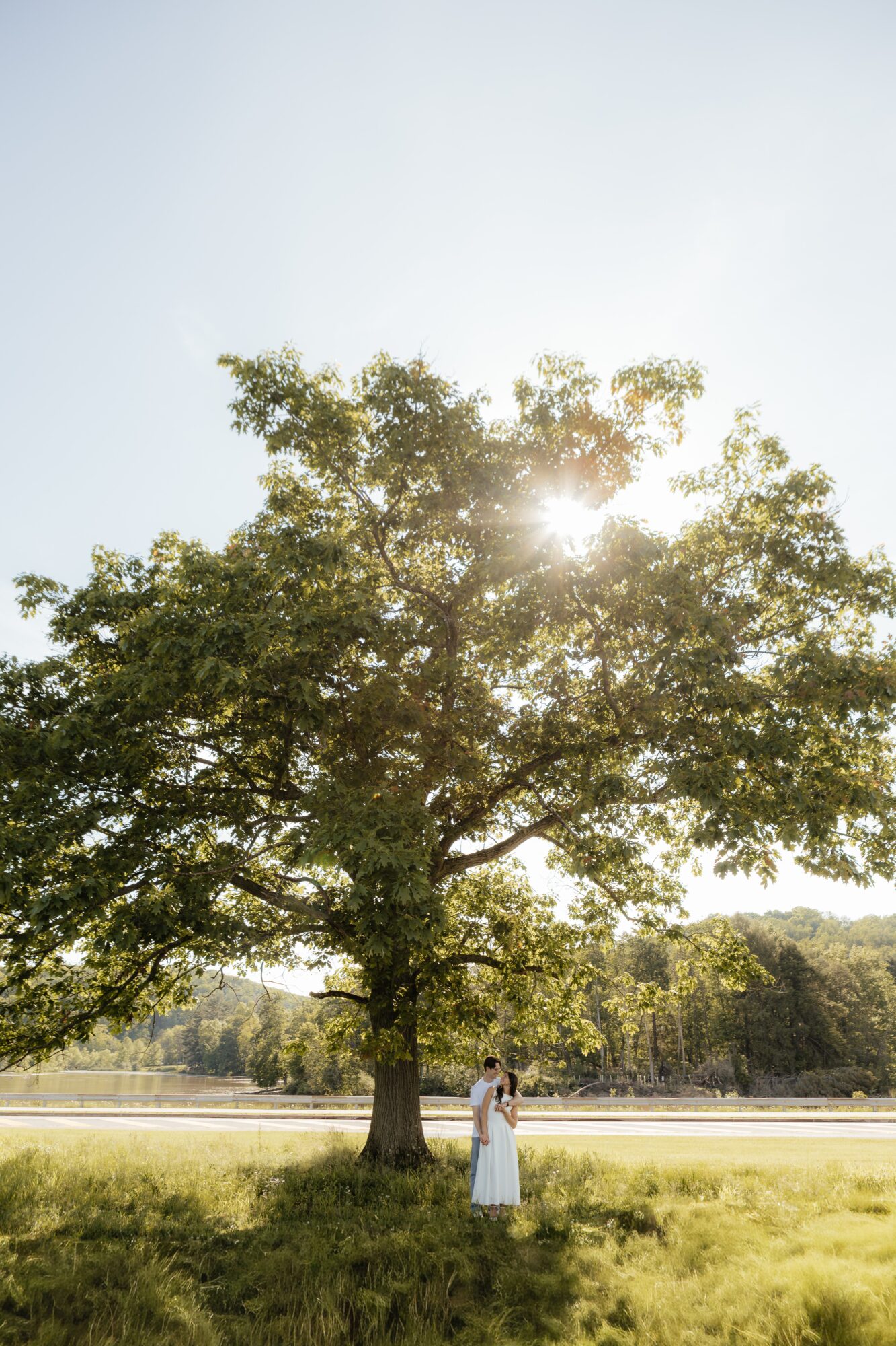 Person standing under a large tree with sunlight shining through the leaves, in a grassy field.
