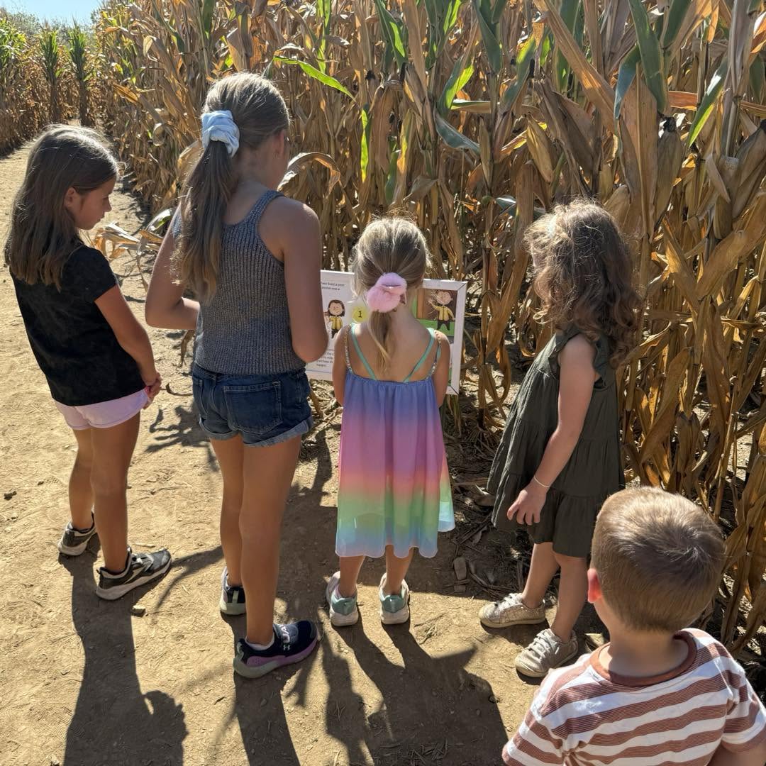 Five children stand on a dirt path next to a cornfield, looking at a sign or display. They wear casual summer clothes.