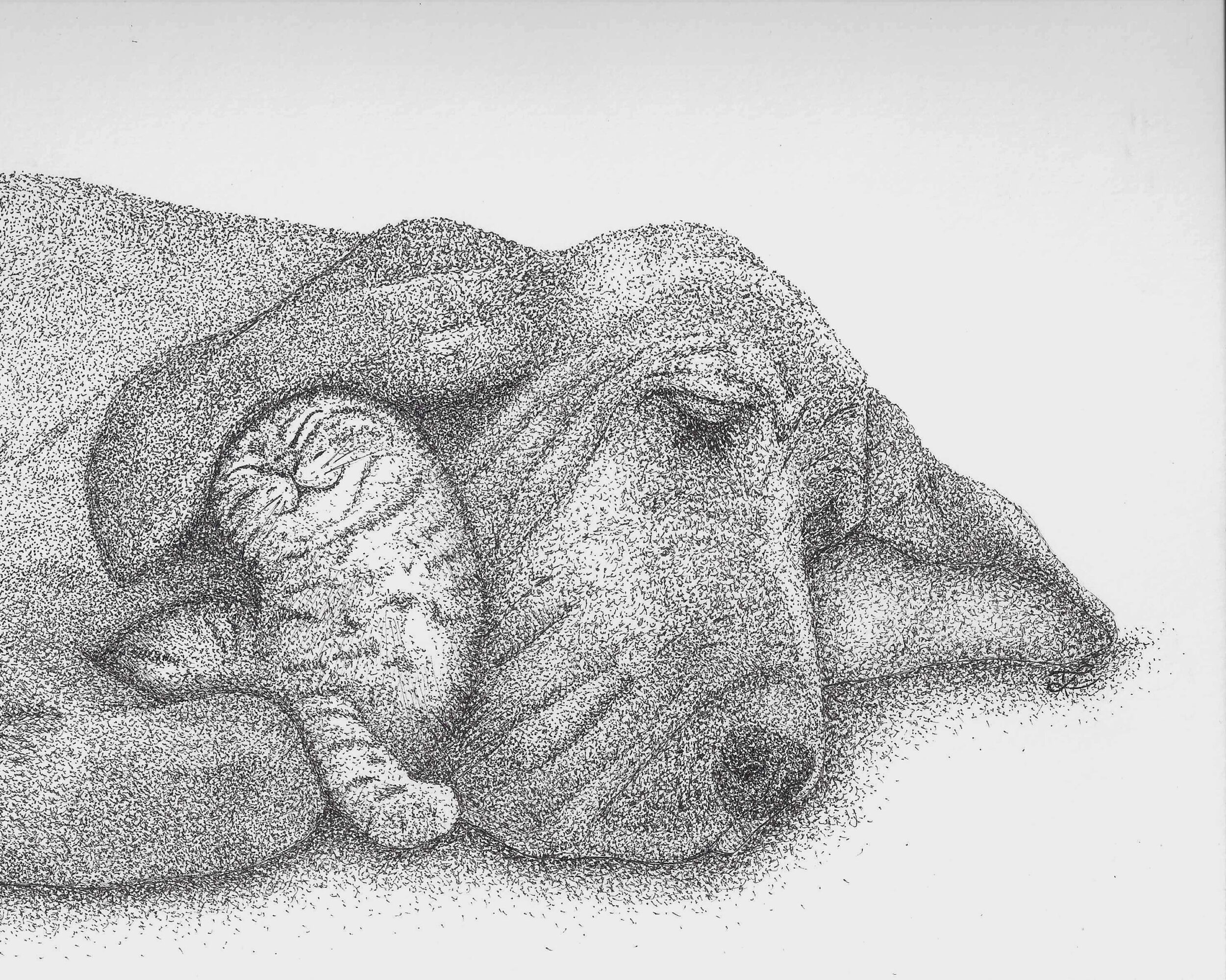 A dog resting its head on a person's arm, both lying down. The image is in black and white with a textured appearance.