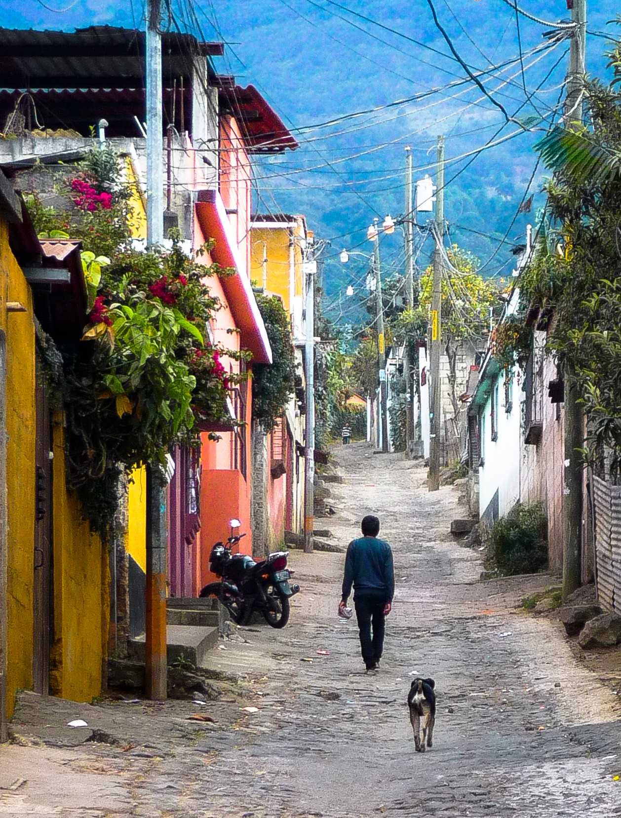 Person walking down a narrow street with colorful houses and a dog, with mountains in the background.