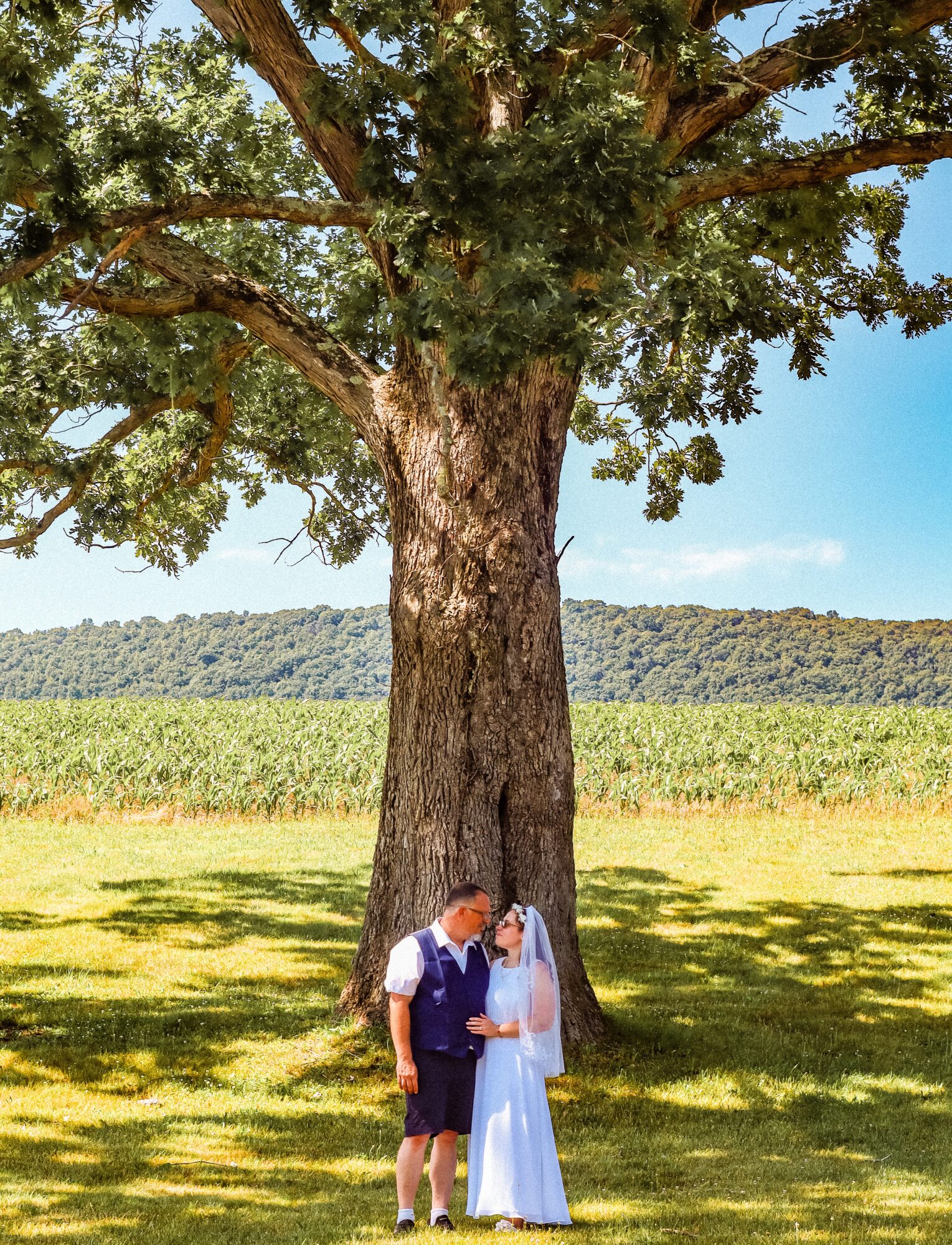 A couple in wedding attire standing under a large tree on a sunny day, with a field and blue sky in the background.