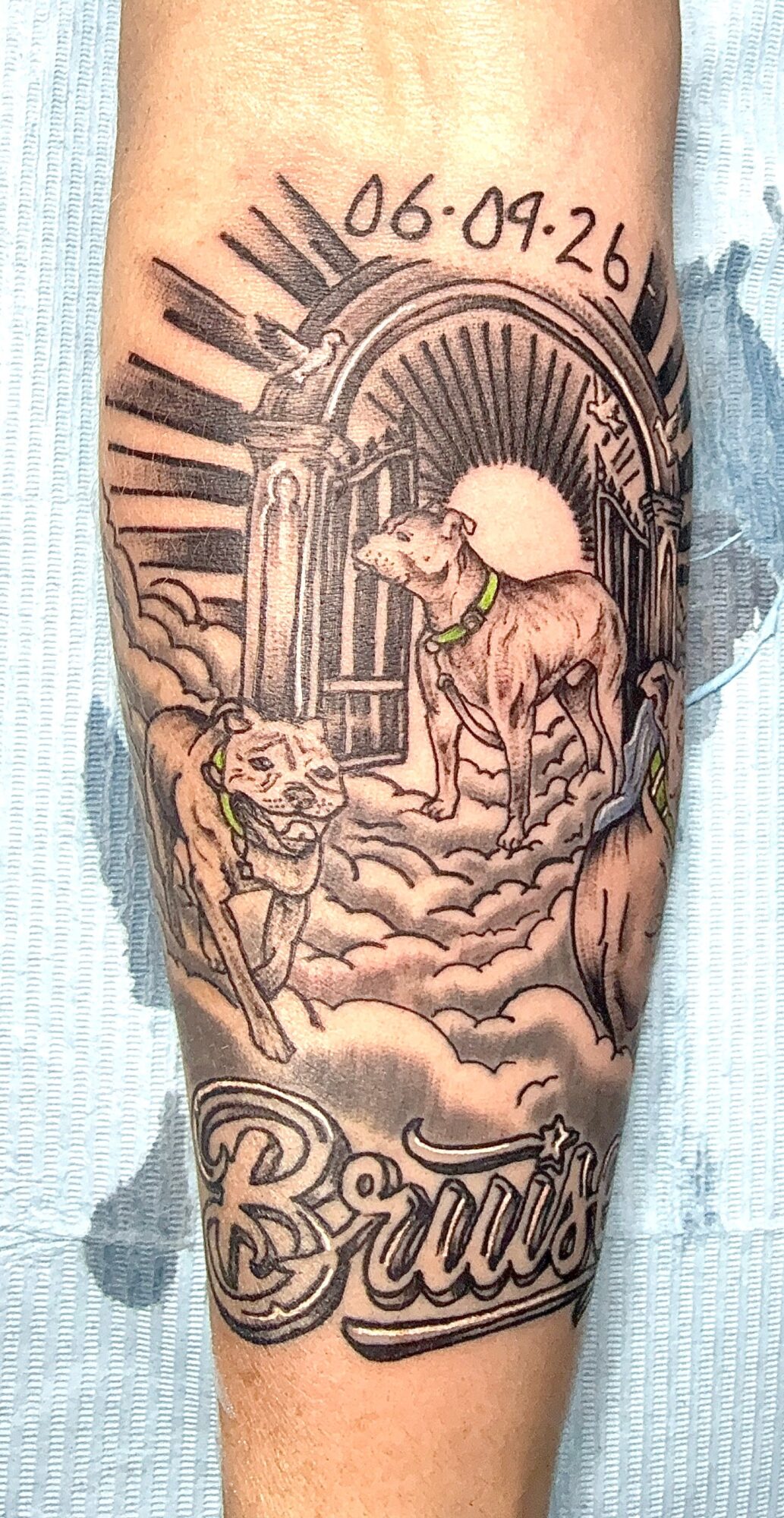 Tattoo of a lion and a tiger in a fantasy landscape with ruins, clouds, and a date, with the word 'Brave' below.