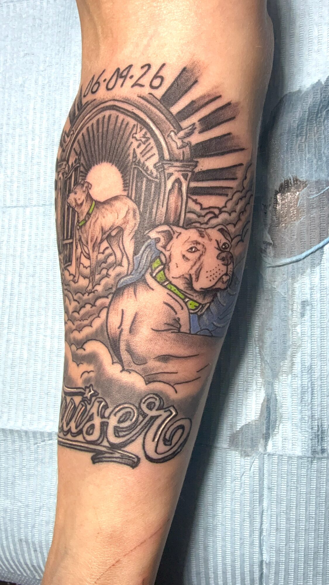 Tattoo of a lion resting with a background of a sun and clouds, with text above and below, on a person's arm.