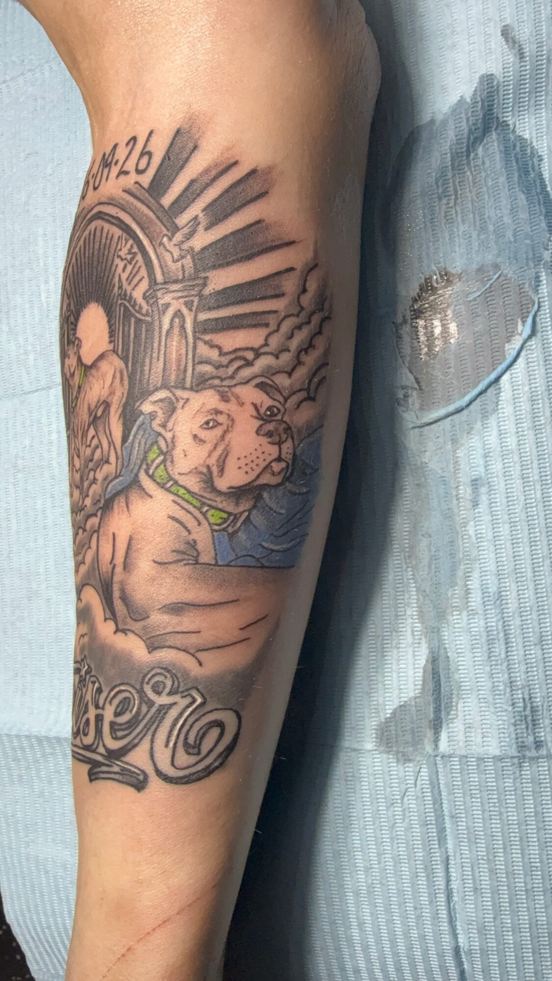 Tattoo of a bear with a landscape background, including a bridge and sun rays, on a person's arm.