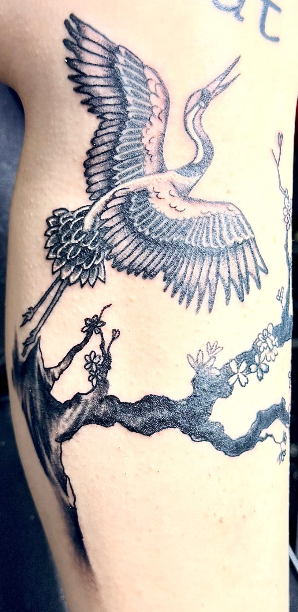 Tattoo of a flying crane with detailed feathers perched on a branch, with additional branches and leaves visible.