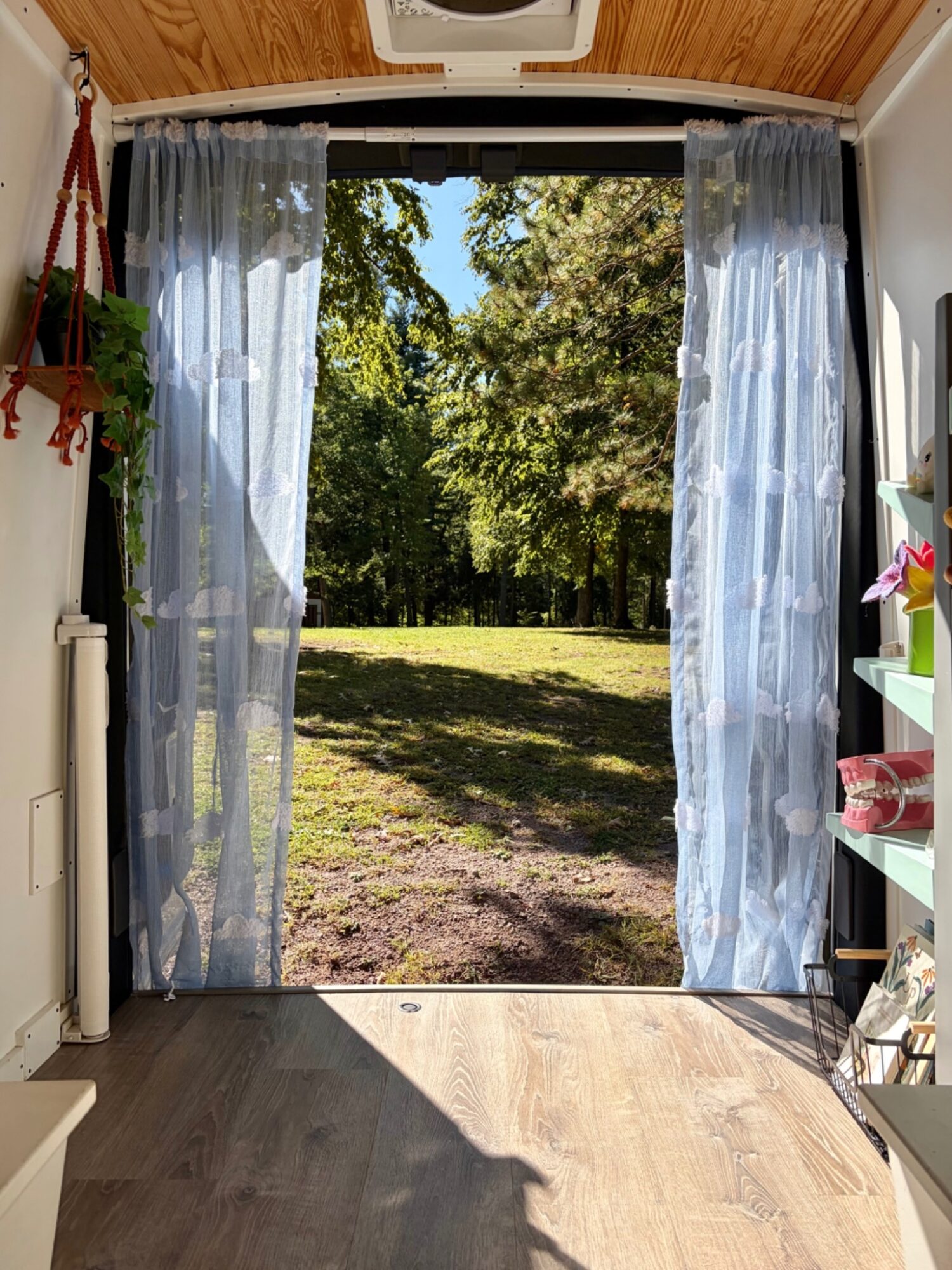 Open door with sheer curtains revealing a sunny outdoor scene with trees and grass.