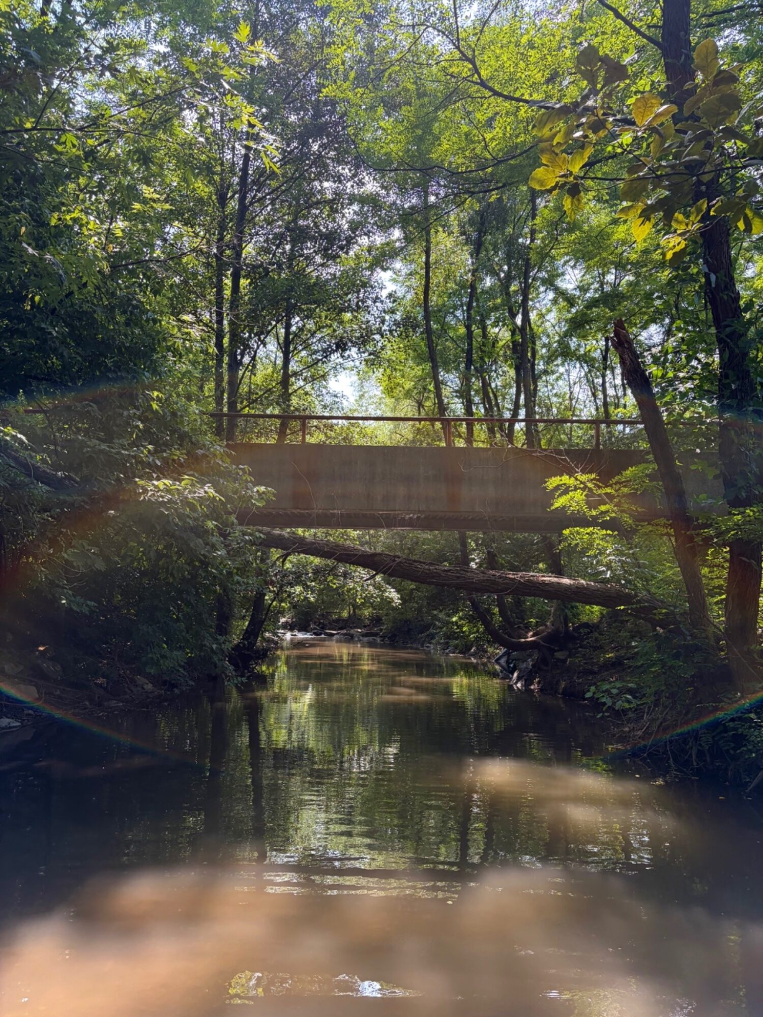 A small bridge over a calm stream surrounded by green trees and sunlight filtering through leaves.