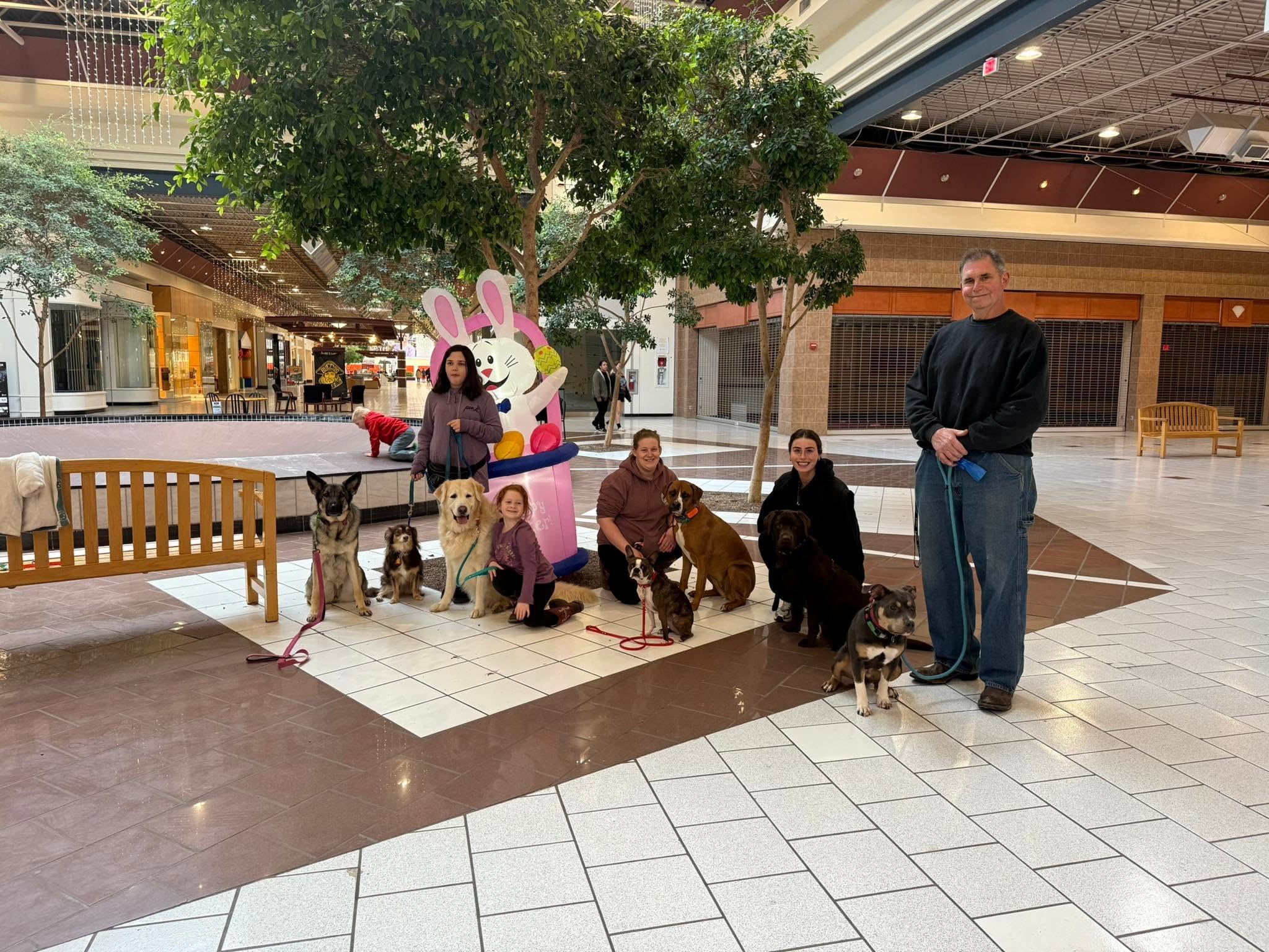 Three people with five dogs and a person in a bunny costume inside a shopping mall, near a tree and benches.