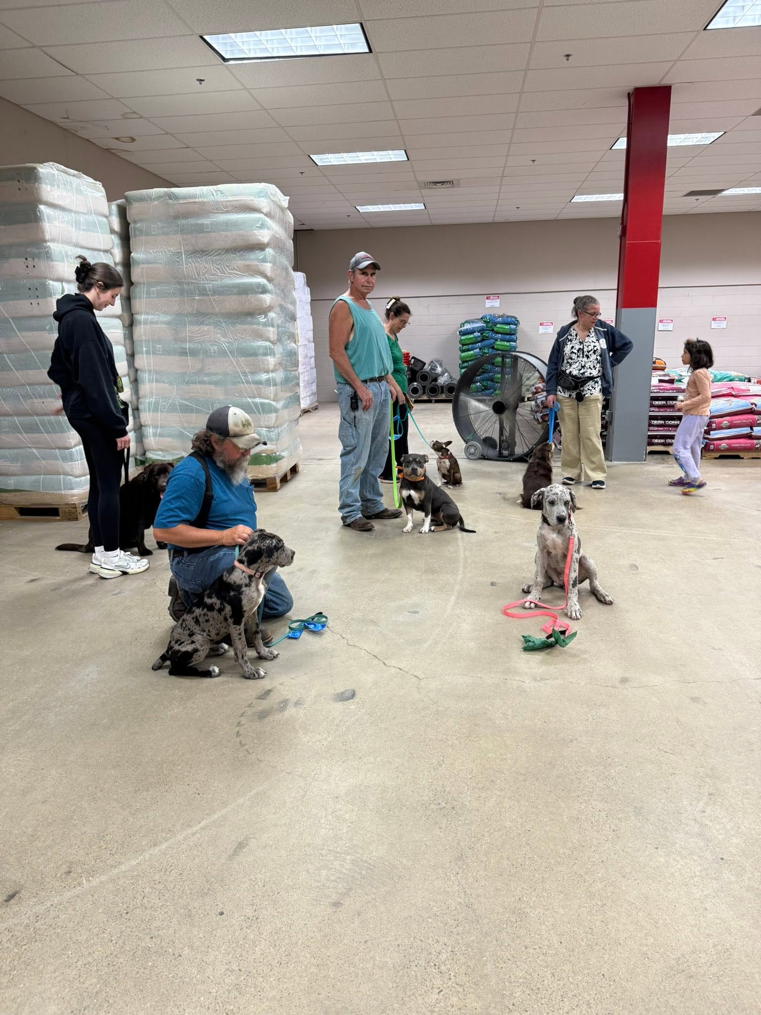 People with dogs in a store aisle, surrounded by stacked products and shopping carts, some standing and some sitting with dogs.