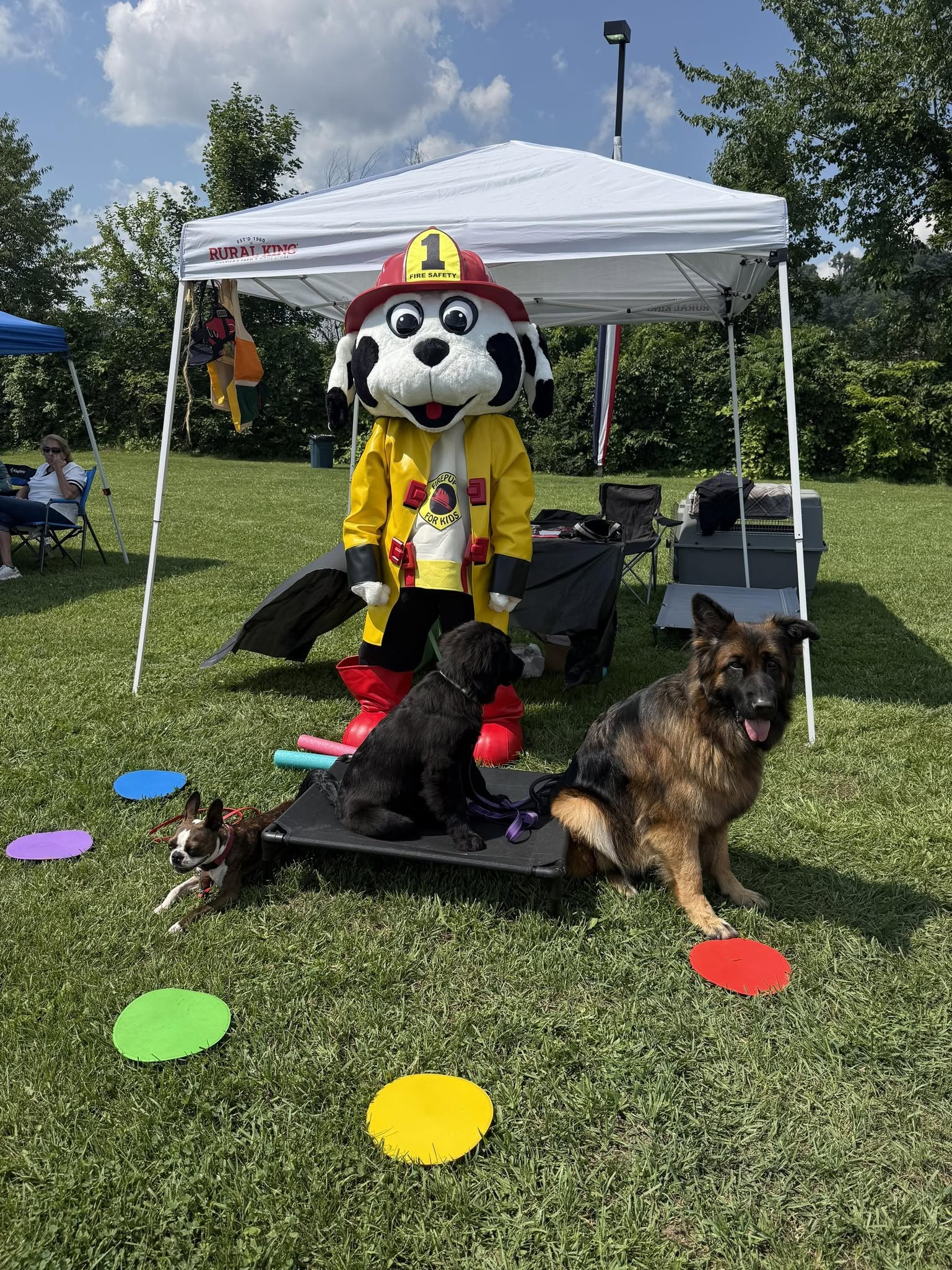 Costumed dog mascot in yellow jacket and red hat with number one, two dogs sitting nearby, colorful circles on grass, outdoor setting.