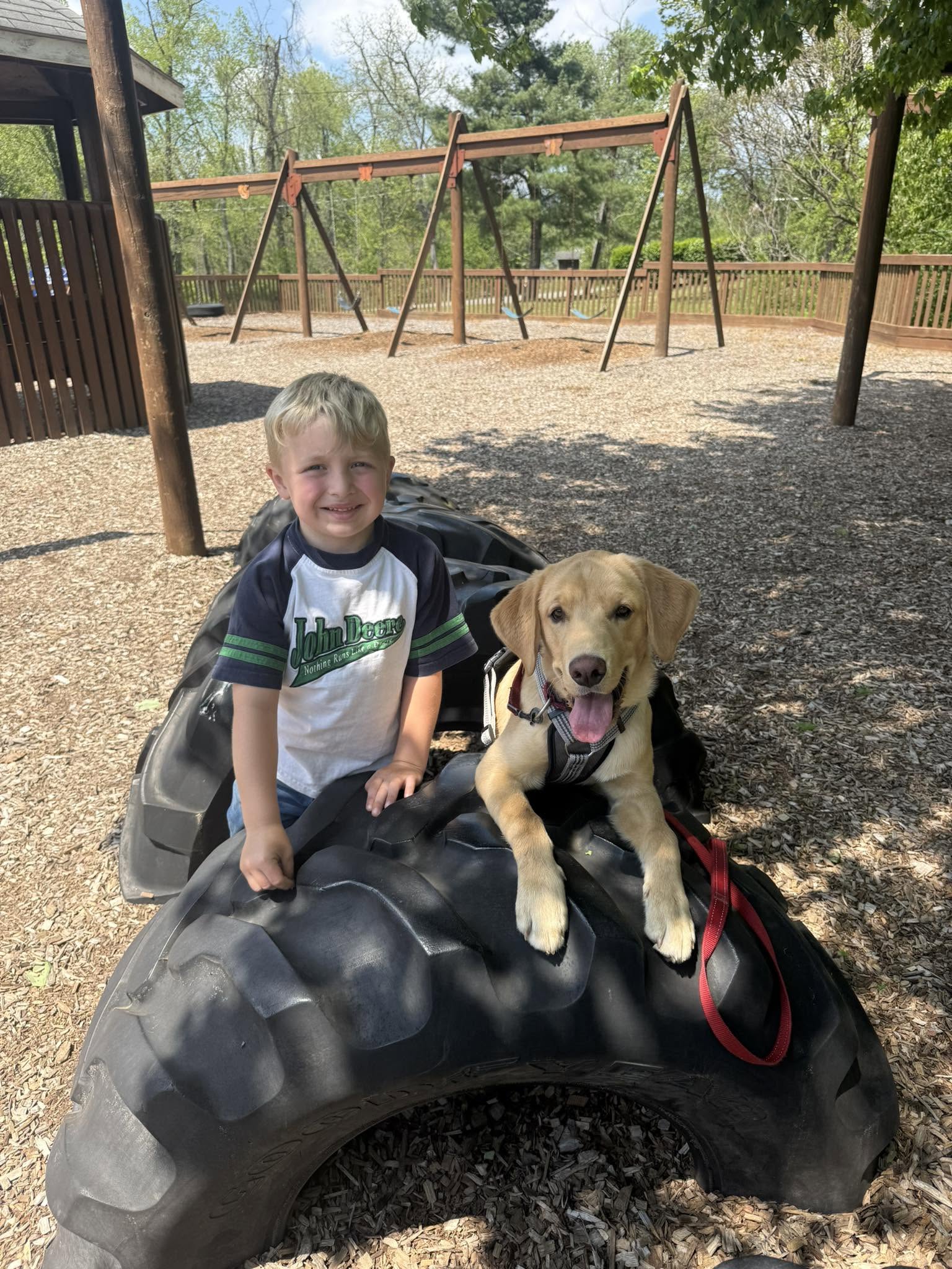 Young boy with short hair and a dog sitting on a large tire at a playground, trees and swings in background.