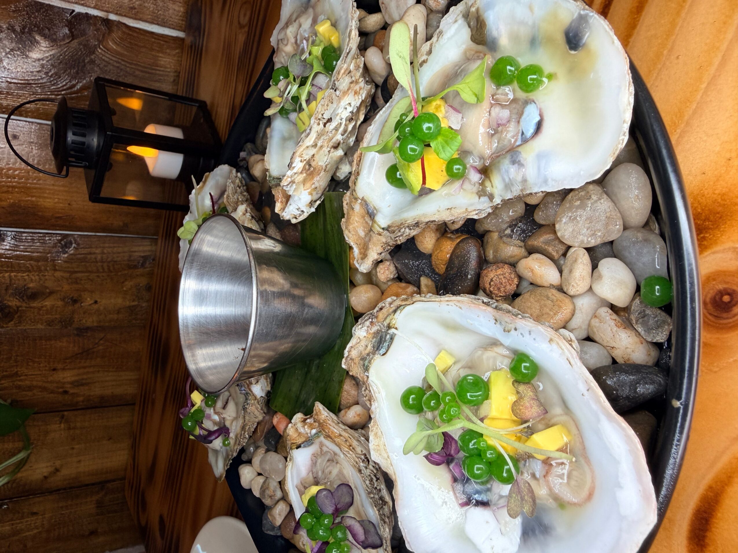 Two fried eggs topped with green onions and purple herbs, surrounded by rocks and a metal cup on a black plate.